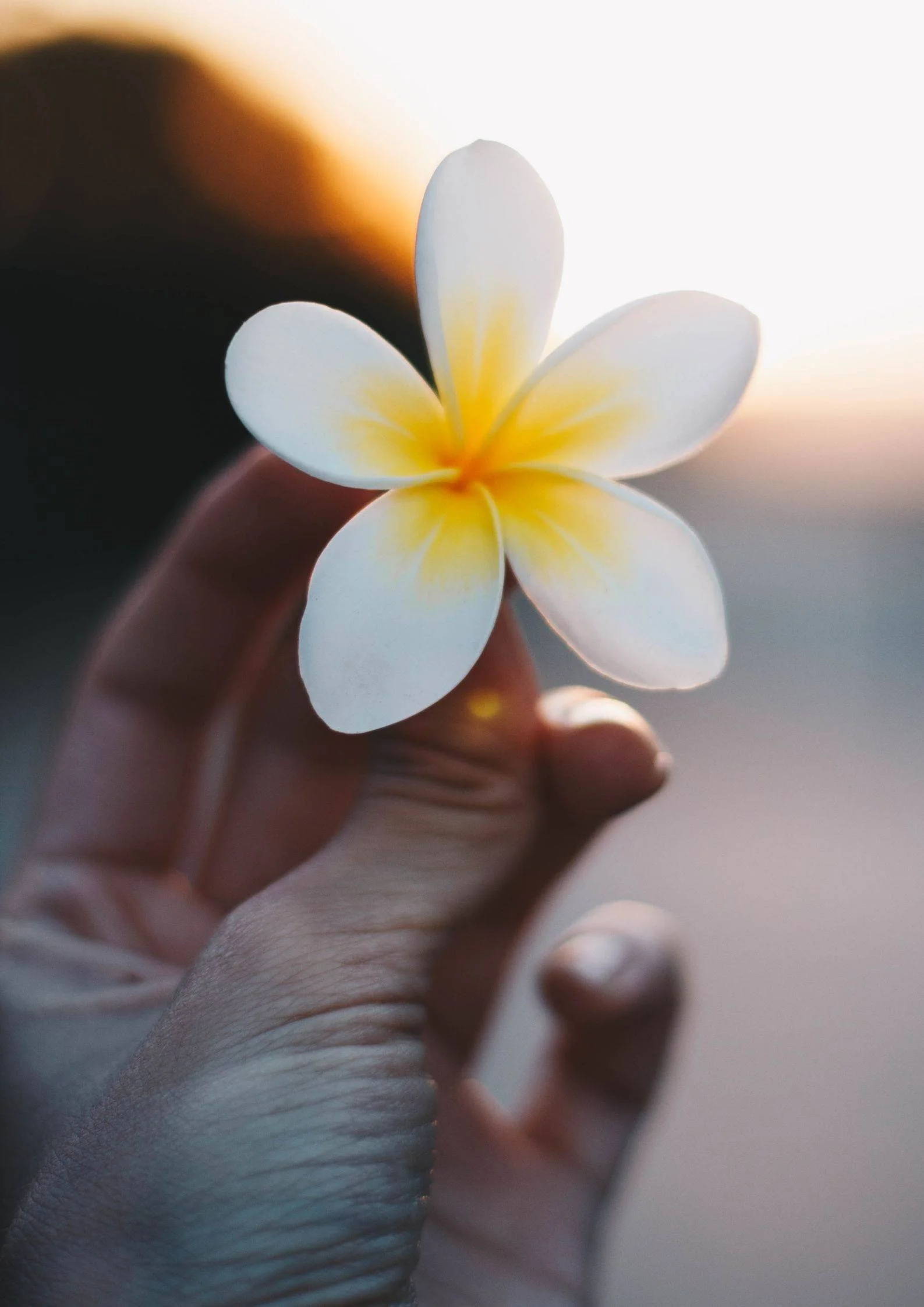 Enriched with Nature's essence